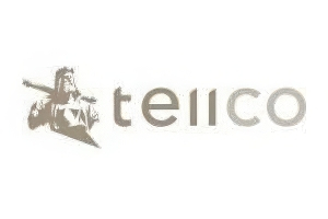 Logo Teiico
